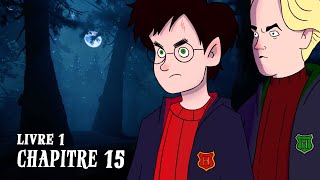 HARRY POTTER  Livre 1  Chapitre 15  LA FORÊT INTERDITE [upl. by Niraj]