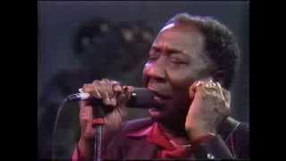 Muddy Waters  The Living Legends of Blues [upl. by Grissom]