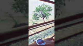 Sambhar Lake 🚫🚉 song bollywood music love travel vlogger youtubeshorts trending rajasthan [upl. by Jac]