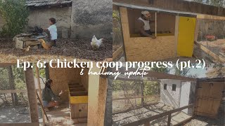 EP6 CHICKEN COOP PROGRESS pt2 amp HALLWAY UPDATE  Bulgarian country house renovation [upl. by Lecroy]