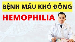 Hemophilia  Máu Khó Đông  Bệnh di truyền về máu trong hoàng gia châu Âu [upl. by Thenna931]