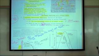 CARDIAC PHYSIOLOGY PART 2 by Professor Finkwmv [upl. by Aynwad]