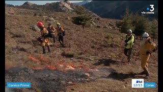 Opération brûlage faunistique in Niolu CASAMACCIOLI [upl. by Lukash]