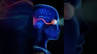 Heal Optic Nerve Damage  Eyesight Healing Frequency  Get Relief from Eye Strain 528Hz Music [upl. by Vasili]