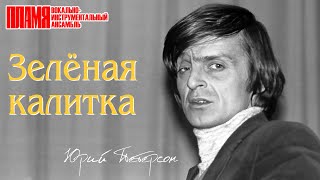 ВИА quotПЛАМЯquot  Зеленая калитка  Солист Юрий Петерсон [upl. by Lorre]