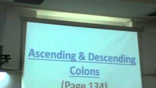 Dr Sherif Fahmy Da3m Abdomen 8 Appendix amp Colon [upl. by Brookes]