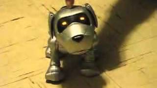 Tekno the Robotic Puppy [upl. by Edak]