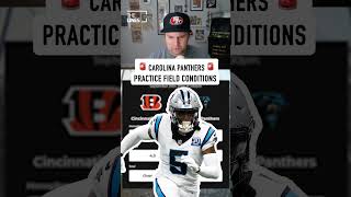 Diontae Johnson Misses Practice Due to the Condition of Panthers Practice Field  NFL Week 4 [upl. by Palocz]