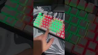 Hyperx pudding keycaps on apex pro tkl  keyboard [upl. by Stolzer766]