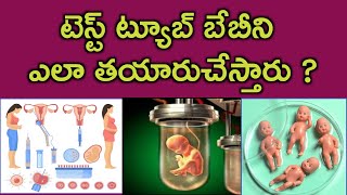 టెస్ట్ ట్యూబ్ బేబీని ఎలా తయారుచేస్తారు  Test tube baby process in telugu  IUI IVF treatment [upl. by Nonnac]