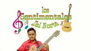 PROMETO AMARTELOS AENTIMENTALES DEL NORTE [upl. by Eiffe]