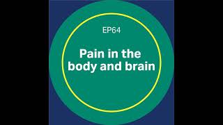 Discovery Matters  Ep64 Pain in the body and brain [upl. by Noseaj78]