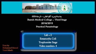 4 Pratical Parasitology  Entamoeba Coli  Trophozoite Stage [upl. by Cis]