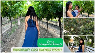 Sera Vineyard amp Resort Hyderabad  Hyderabads own Vineyard Resort  Staycation amidst Vineyards [upl. by Anirb]