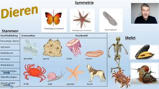 Ordening biologie  3 van 3 Biodam  Planten en dieren [upl. by Ruffi988]