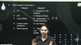 Match column I with column II Column I Column II A PCT [upl. by Dulcie]