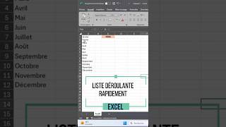 Excel Liste Déroulante  Comment La Créer Rapidement [upl. by Cinom]