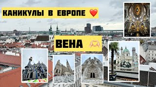 ❤️Вена город в который я влюблен 🔥отпускЕвропаВенаviennavacationeuropelovecityaustria [upl. by Leah974]