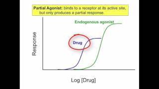 Agonist Antagonist Partial Agonist Inverse Agonist [upl. by Macri]