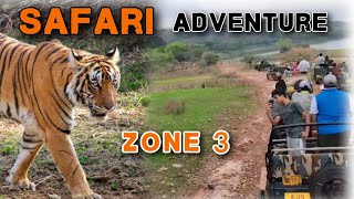 Ranthambore Safari Adventure in Zone 3 [upl. by Lezley]