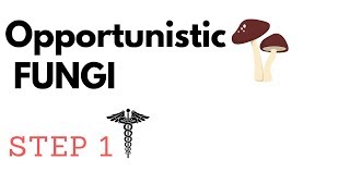 Opportunistic Fungi  Aspergillus Mucormycosis P jirovecii Candida amp Cryptococcus STEP1 [upl. by Cira437]