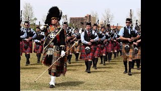 Find Your Celtic Spirit at the Phoenix Scottish Games in Arizona [upl. by Acysej810]