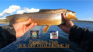 Trout Fishing Panguitch Utah Ice Off Challenge 24 Tigers were biting Mini Jigs with Trailers [upl. by Jea]