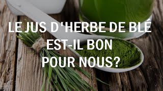 Le jus dherbe de blé estil bon pour nous [upl. by Refinney548]