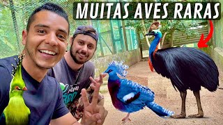 Visitando a criação do Beto Polezel  Casuar  Turacos  Grou coroado  Aves Recriar [upl. by Susan687]