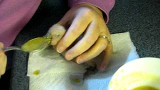 Handfeeding Timneh African Grey baby parrots [upl. by Orv]