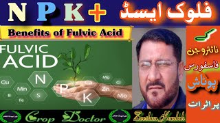 To increase Fertilizer efficiency Fulvic acid plays a vital role [upl. by Ylrebmik]