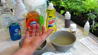 How to Make Soapy Water Garden Insect Sprays The Recipe Use amp Soap Selection  DIY Ep3 [upl. by Ardeha]