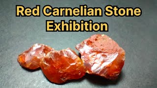 Carnelian Stone Exhibition [upl. by Orvil388]