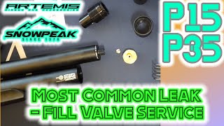 P15 amp P35 Most Common Leak Fix  Inlet Fill Valve [upl. by Witty]