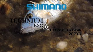 Shimano SurfCasting  Technium BXG 425 amp Ultegra 5500 XTD [upl. by Enneira]