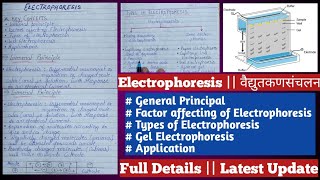 electrophoresis  gel electrophoresis  electrophoresis in Hindi [upl. by Ochs]