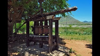 Tecnificación de la de Caña Dulce  Trapiche TvAgro por Juan Gonzalo Angel [upl. by Ynetruoc]