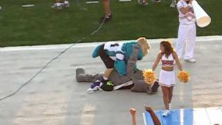 CCU Mascot takes out teams frustration on Duke Dog after he tries to be playful [upl. by Rusticus]