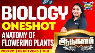 Anatomy of Flowering Plants  GIB⚔️  Class 11 CBSE Biology  Xylem NEET Tamil [upl. by Cordey]