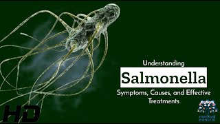 Salmonella Uncovered Symptoms Causes amp Cure [upl. by Gnihc]