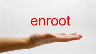 How to Pronounce enroot  American English [upl. by Iraam]