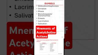 Mnemonic of Acetylcholine Actions [upl. by Stanzel]