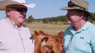 Adaptive Grazing 101 A Conversation with Burke Teichert Grazing Consultant [upl. by Hayarahs669]