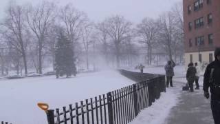 Snow Day In Ivy Hill Park Newark NJ [upl. by Dolley]