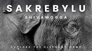 SAKREBYLE ELEPHANT CAMP  SHIMOGA  ECOTOURISM  MONSOON ROAD TRIP  KARNATAKA  WESTERN GHATS [upl. by Ynwat]