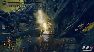 Lightning Perfume Bottle Best Build Destroy All Bosses in Elden Ring Shadow of the Endtree [upl. by Buff943]