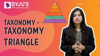 Taxonomy  Taxonomy Triangle  Learn with BYJUS [upl. by Edsel]