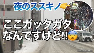 札幌の雪道☃️こんなに違うんですか‼︎😨夜のススキノにもちょっとだけ。 [upl. by Liagibba]