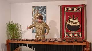 Land for Marimba solo by Takatsugu Muramatsu  performed by Marimba Artist Manuel Leuenberger [upl. by Elum]