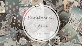 開箱 🥀 接骨木塔羅牌經典版 • Sambucus Tarot Original  Nanna Tarot [upl. by Autumn]